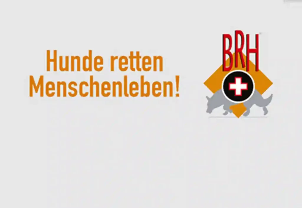 Hunde können Leben retten