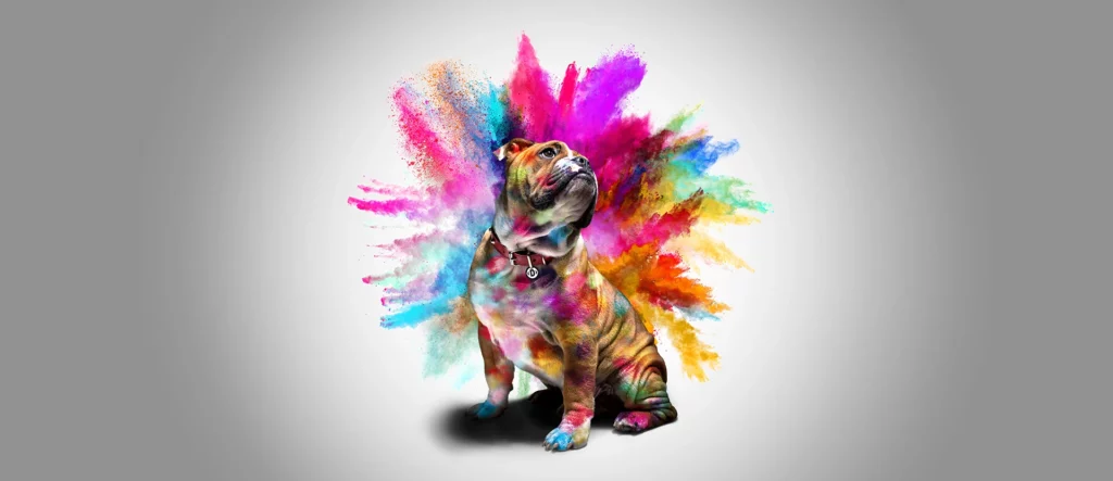 Formulardruck in Heidenheim an der Brenz